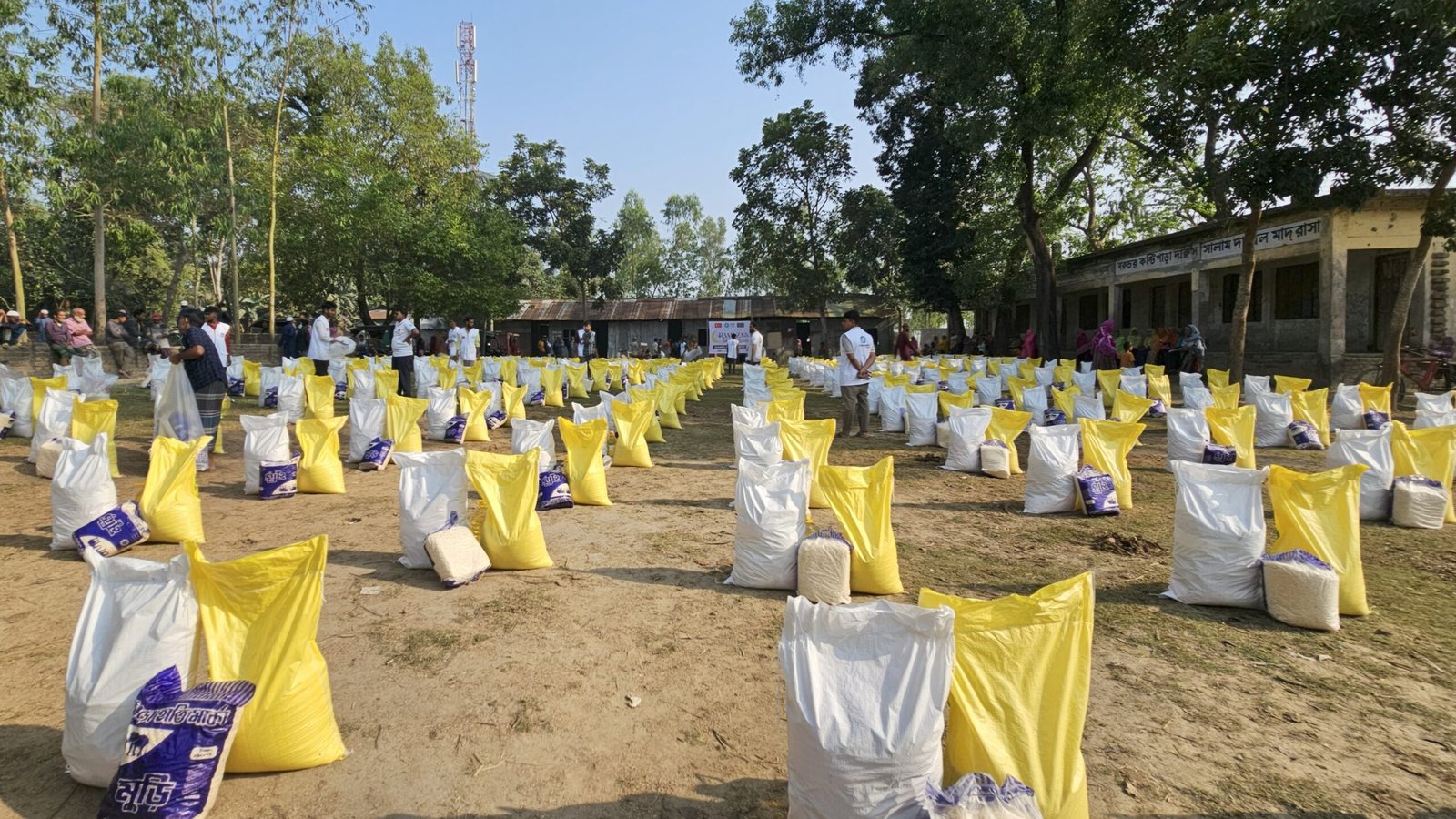 Copy of 20250227_085647