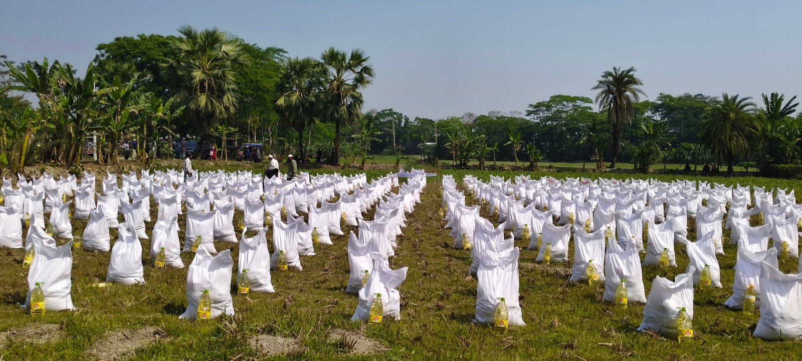 filter: 0; fileterIntensity: 0.000000; filterMask: 0; captureOrientation: 0;
hdrForward: 6; shaking: 0.002727; highlight: 1; algolist: 0;
multi-frame: 1;
brp_mask: 8;
brp_del_th: 0.0000,0.0000;
brp_del_sen: 0.0000,0.0000;
delta:null;
module: photo;hw-remosaic: false;touch: (-1.0, -1.0);sceneMode: 7864320;cct_value: 0;AI_Scene: (-1, -1);aec_lux: 0.0;aec_lux_index: 0;HdrStatus: auto;albedo: ;confidence: ;motionLevel: 0;weatherinfo: null;temperature: 34;